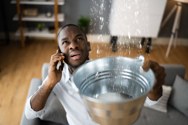Best Mold removal after water damage  in New Holstein, WI