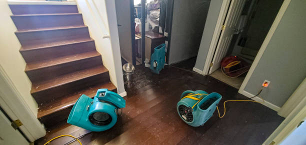 Best 24-hour water damage restoration  in New Holstein, WI