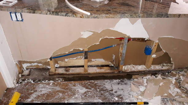 Best Water damage cleanup near me  in New Holstein, WI