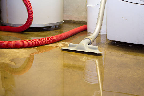 Best Basement water damage restoration  in New Holstein, WI