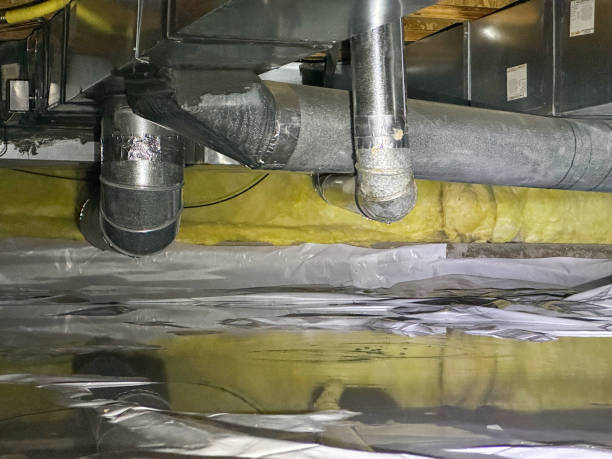 Best Flood damage cleanup  in New Holstein, WI