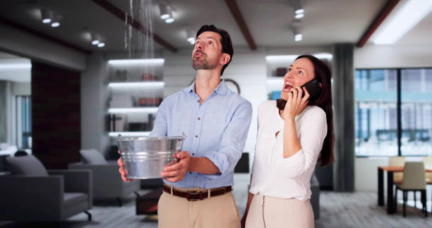 Best Residential water damage restoration  in New Holstein, WI