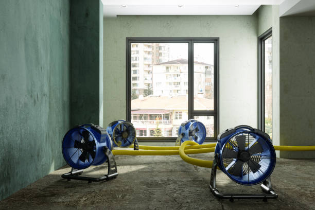 Best Commercial water damage restoration  in New Holstein, WI